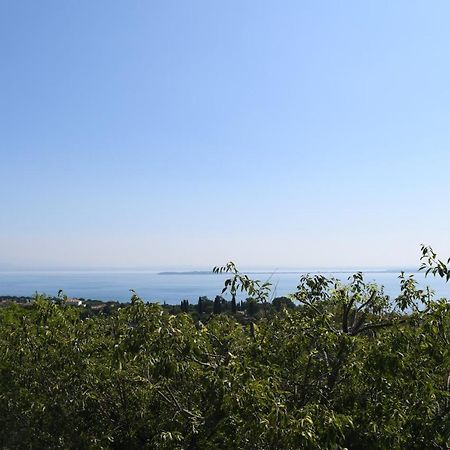 Alice'S Nest-Lake View House Padenghe sul Garda Dış mekan fotoğraf