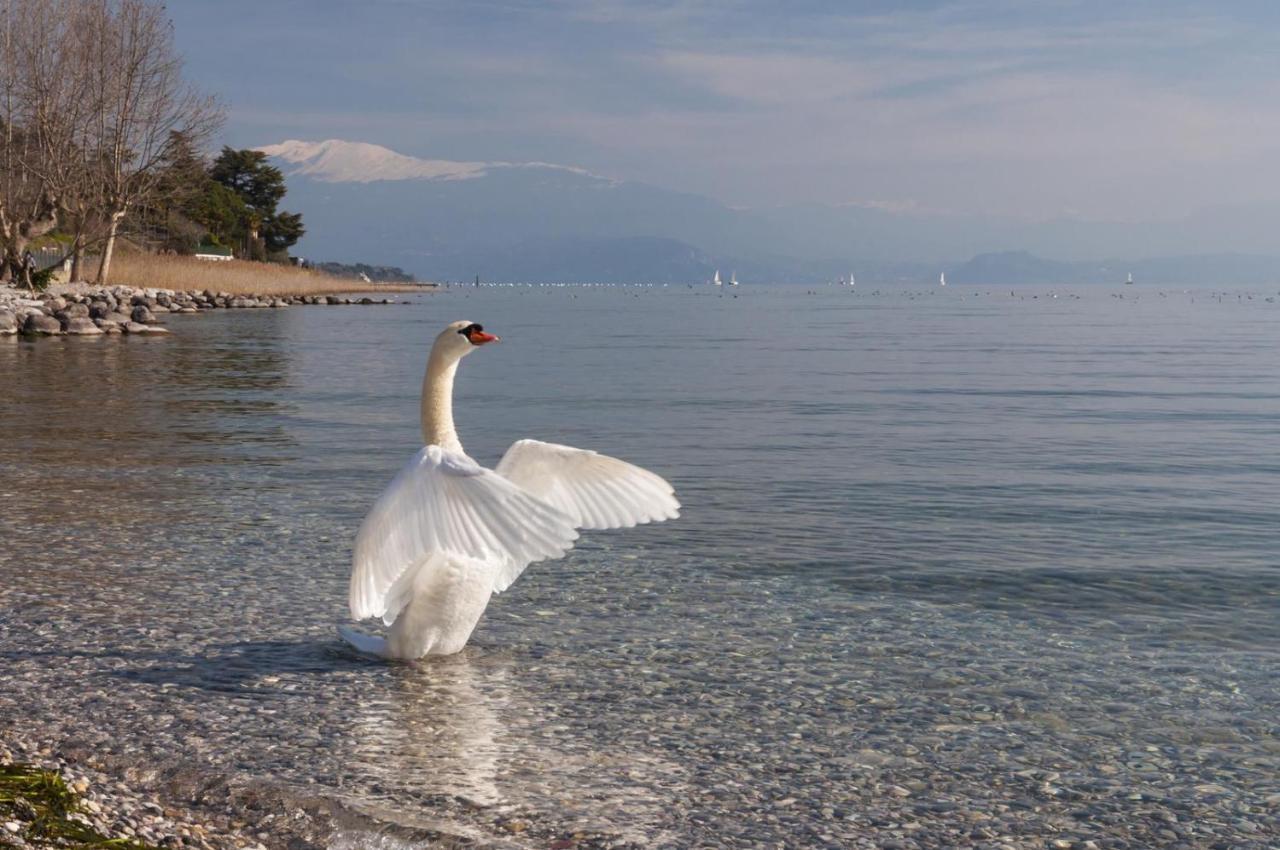 Alice'S Nest-Lake View House Padenghe sul Garda Dış mekan fotoğraf